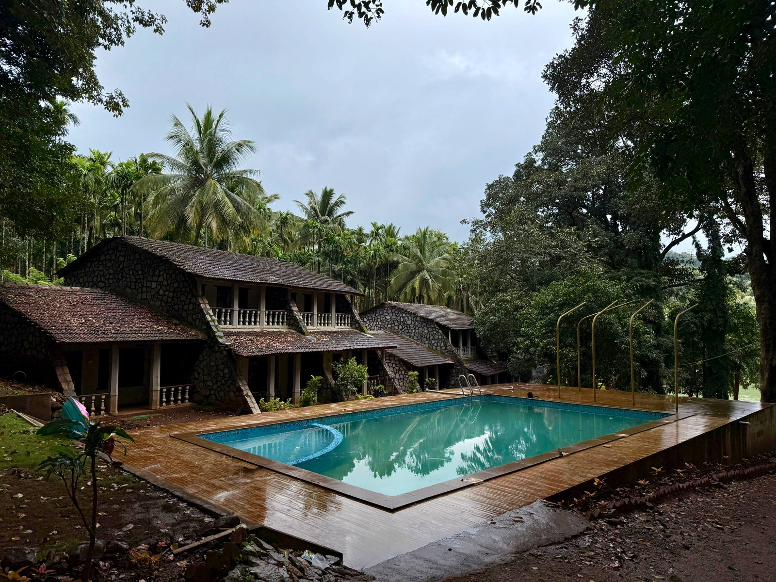 Bison Resort