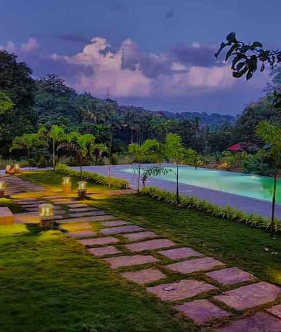Jungle View Pool Resort