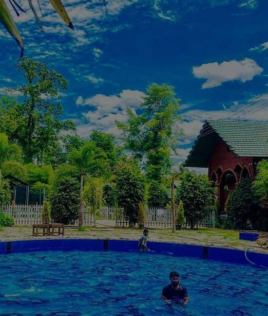Jungle View Pool Resort