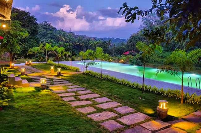 Jungle View Camping